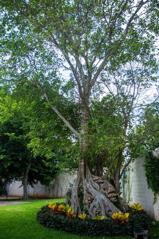 Villa San Antonio De Padua Izamal Luaran gambar